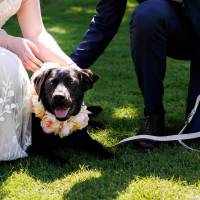 Dog friendly outdoor weddings vaulty manor venue essex